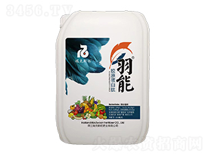 膠原蛋白肽-羽能-瑞克斯旺