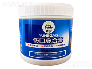 �������ϸ�-ɭ��-�����r(n��ng)��