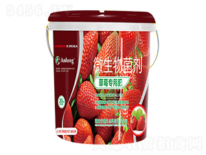 草莓專(zhuān)用肥-安隆生態(tài)