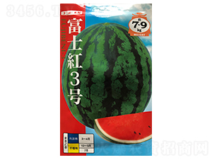 富士三號(hào)-西瓜種子-山田盛種苗