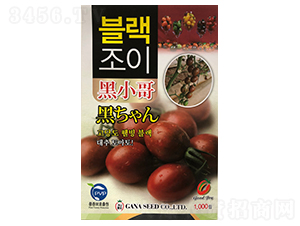 黑小哥-番茄種子-山田盛種苗