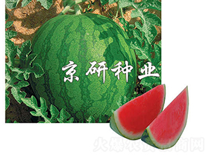 ����1̖-���ϷN��-���зN�I(y��)