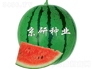 ����4̖-���ϷN��-���зN�I(y��)