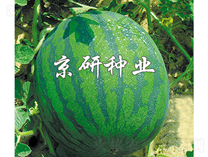 ����2̖-���ϷN��-���зN�I(y��)