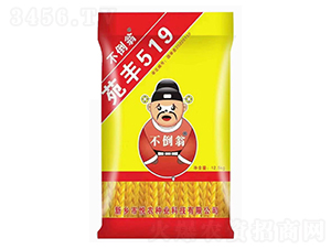 ���S519-С���N��-������