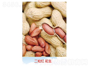 �����t����-�����N��-�S�A�N�I(y��)