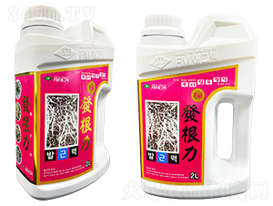 發(fā)根力-愛福恩