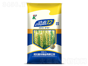 ����12-С���N��-�ο�