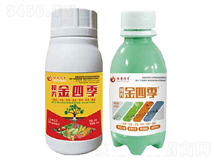 獨(dú)秀金四季-獨(dú)秀傳奇-全季豐