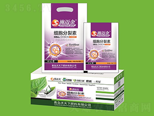 ����������-ʩ�~��-������ 