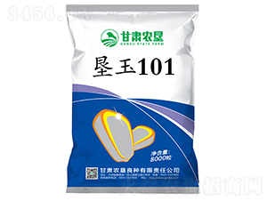 墾玉101-玉米種子-甘肅農墾