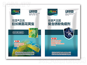 ���L��ֱ���v��+�ͺ��P�����߄�-�n��-�n��ʘI(y��)