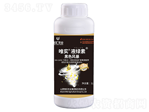 ��ɫ�L��-Ψ����Һ�G��