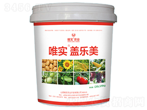 Ψ�����w����