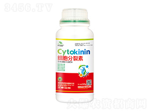 ����������-��|ֲ��-ʥ��ʘI(y��) 