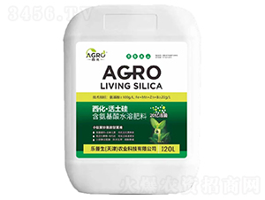 ������������-��(l��)����