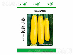 ʢ�S���-��ʢ�S