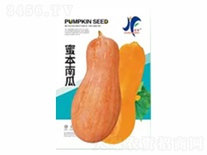 蜜本南瓜-晉豐-德盛豐