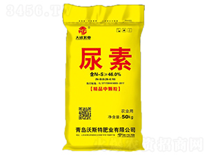 ����-���-��˹��