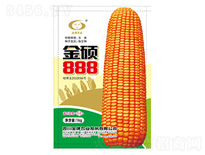 玉米種子-金碩888-金牌農(nóng)業(yè)