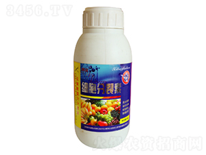 ����������-������ 