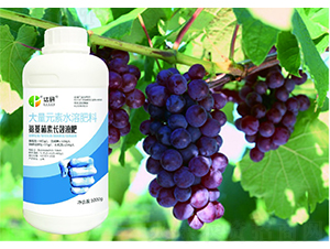 大量元素水溶肥料-氨基菌素長效液肥-達研生物