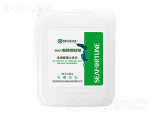 海藻提取物-生根膨果小狀元-海阜農(nóng)業(yè)