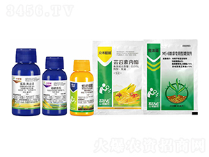 �����(zhu��n)�ó��݄��M�ϣ����һ��-�����S