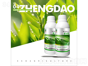 葉綠素-正道生物