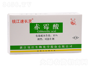 15%��ù�����Ƭ��-�X�����L�`-�X������