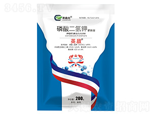 �������⛷��ϼ�-Ӣ��-��ɭԪ