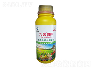 九藝磷鉀-九藝綠洲