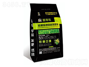 挺給粒硅根稻地苗床調理劑-碩磊農業(yè)