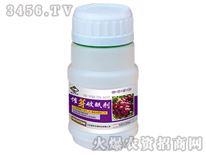 ��ѿ���߄�-�����S�r(n��ng)-���r(n��ng)����