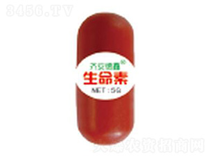 ������-��������