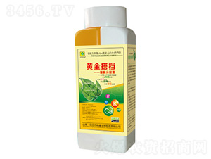 ����������-�S���n-�������� 