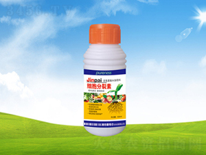 ����������-���ؠ��r(n��ng)�� 