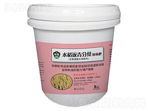 水稻返青分蘗液體肥-龍馬寶稼肥業(yè)