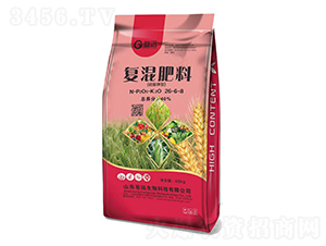 ������͏�(f��)�����26-6-8-�n�h(yu��n)����