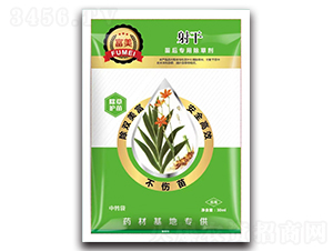 �������ó��݄�-����