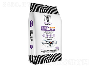 ��������������-�����-���컯�r(n��ng)�Y