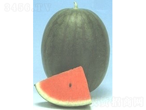 С������-���ϷN��-�V��