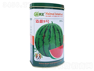 �~��9̖-���ϷN��-�ٹ��R-���~���H