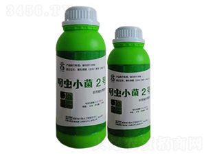 叼蟲小菌2號-云葉生物