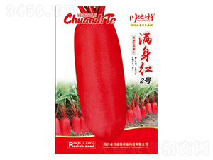 滿身紅2號(hào)-紅蘿卜種子-川地特