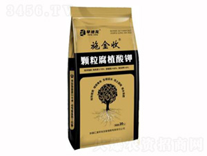 顆粒腐殖酸鉀-施金收-旱地龍