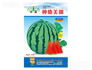 ��¹�������ϷN��-��¹�N�I(y��)