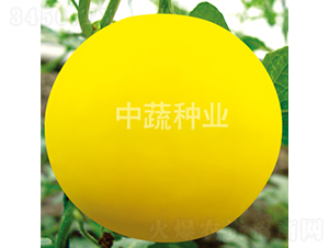 ���һ̖-���ϷN��-���߷N�I(y��)