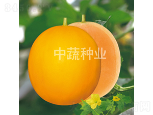 ����198-��ϷN��-���߷N�I(y��)