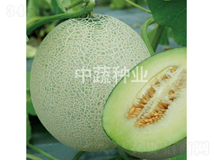 ����5̖-��ϷN��-���߷N�I(y��)